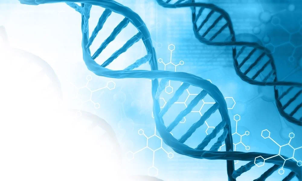 amplicon sequencing